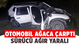 Ağaca çarpan aracın sürücüsü ağır yaralandı
