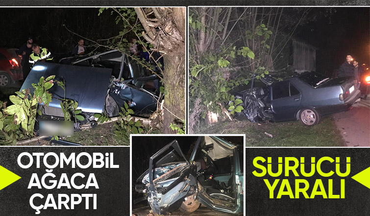 Ağaca çarpan otomobilin sürücüsü yaralandı