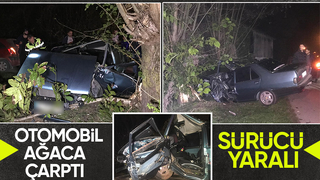 Ağaca çarpan otomobilin sürücüsü yaralandı