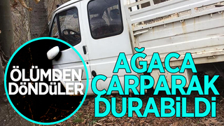 Ağaca çarparak durabildi