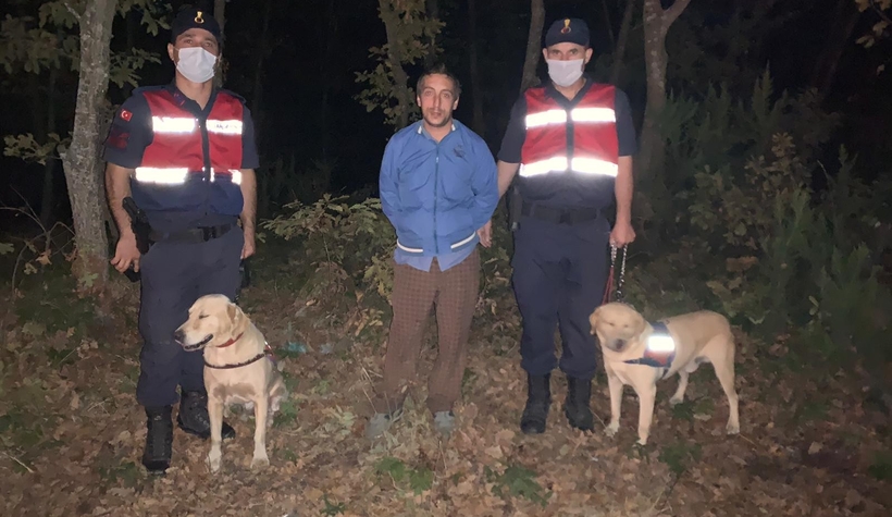 Ağaca sarılı şekilde uyurken bulundu