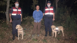 Ağaca sarılı şekilde uyurken bulundu