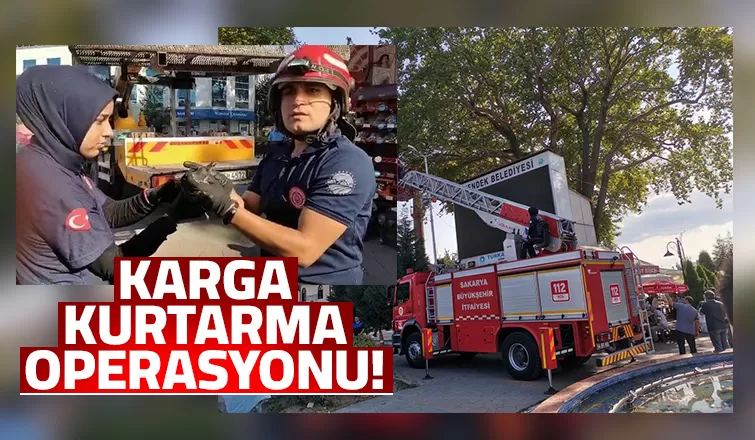 Ağaca takılan yaralı karganın imdadına itfaiye yetişti