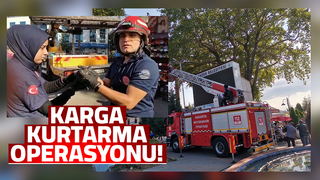 Ağaca takılan yaralı karganın imdadına itfaiye yetişti