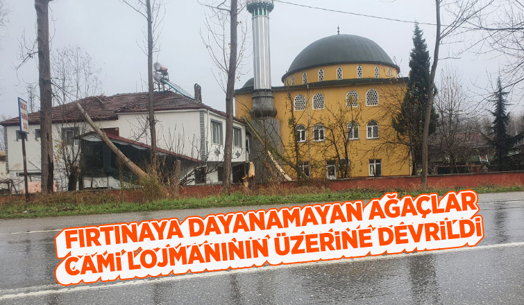 Ağaçlar lojmanın üzerine devrildi
