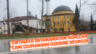 Ağaçlar lojmanın üzerine devrildi