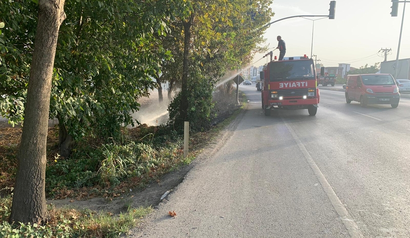 Ağaçlık alanda yangın çıktı