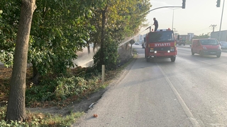 Ağaçlık alanda yangın çıktı