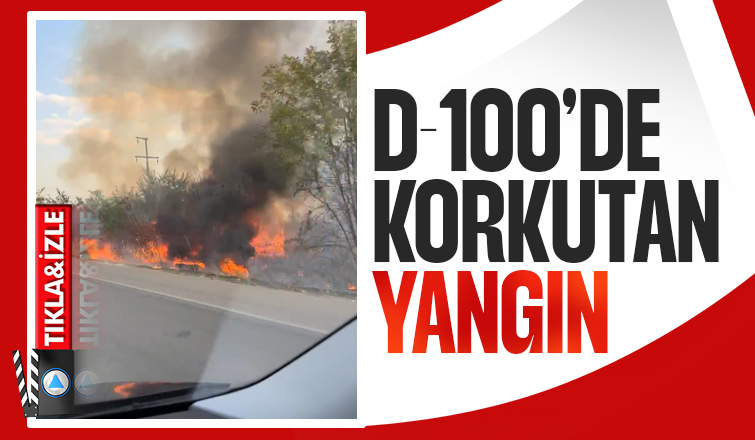 Ağaçlık alanda yangın