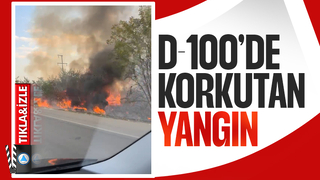 Ağaçlık alanda yangın