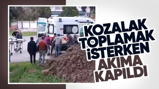 Ağaçta elektrik çarptı!