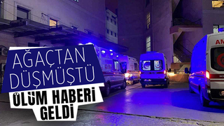 Ağaçtan düşen yaşlı adam hastanede hayatını kaybetti