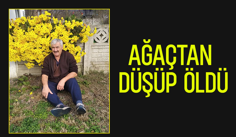 Ağaçtan düştü, kurtarılamadı