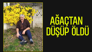 Ağaçtan düştü, kurtarılamadı