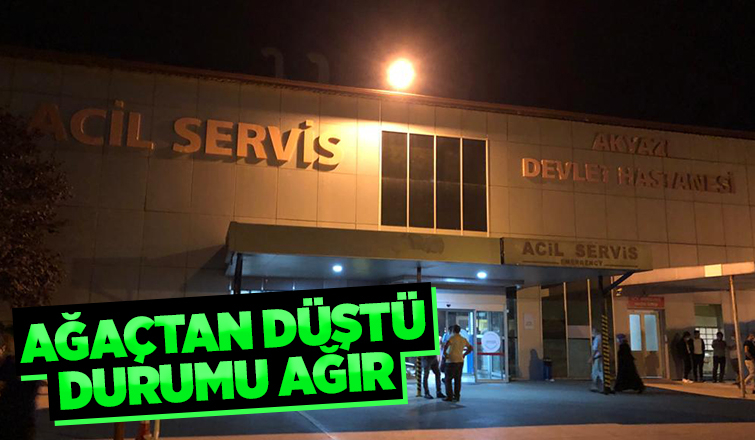 Ağaçtan düştü