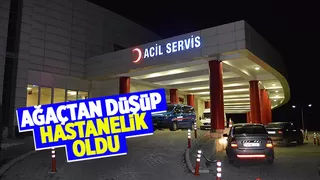 Ağaçtan düştü