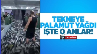 Ağlar palamutla böyle doldu