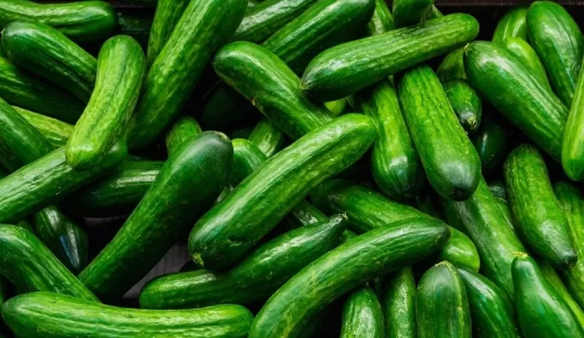 Ağustos ayının zam şampiyonu salatalık
