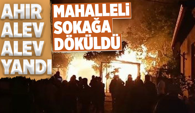 Ahır alev topuna döndü, mahalleli sokağa döküldü