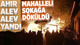 Ahır alev topuna döndü, mahalleli sokağa döküldü
