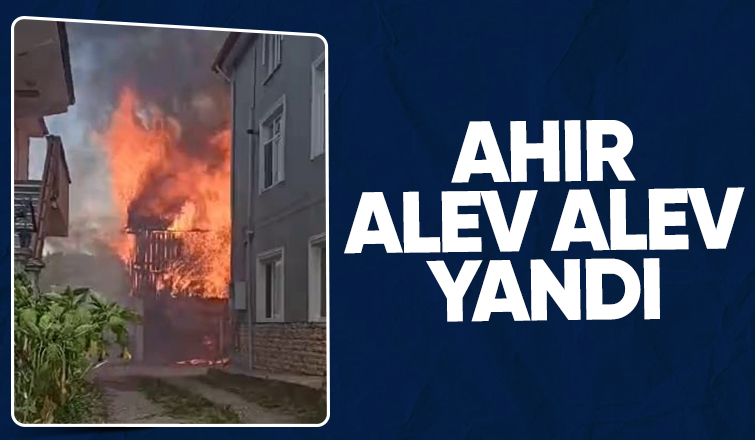 Ahır alevlere teslim oldu
