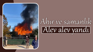 Ahır ve samanlık alev topuna döndü