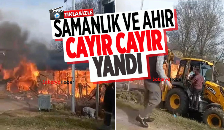 Ahır ve samanlık alevlere teslim oldu