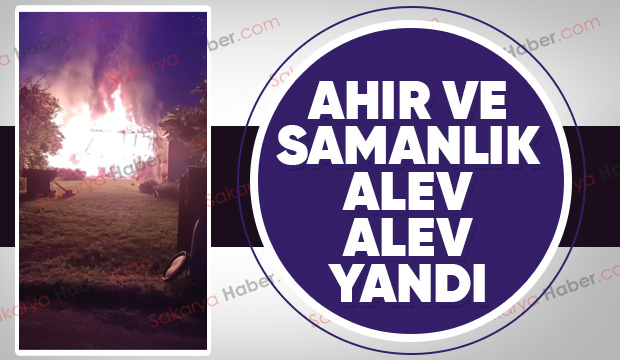 Ahır ve samanlık küle döndü