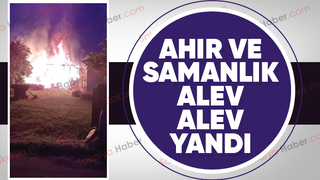 Ahır ve samanlık küle döndü