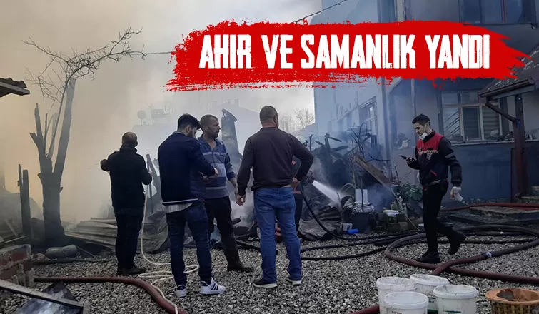 Ahır ve samanlık yangında kül oldu