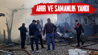 Ahır ve samanlık yangında kül oldu