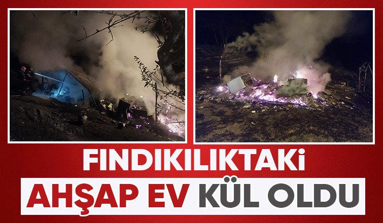 Ahşap ev alev alev yandı