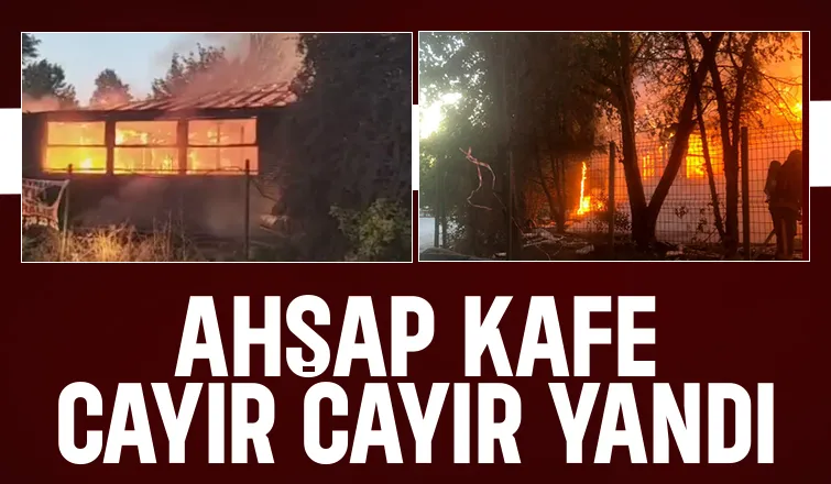 Ahşap kafe alevlere teslim oldu