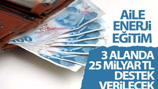 Aile, enerji ve eğitim için devlet desteği 25 milyar lirayı bulacak