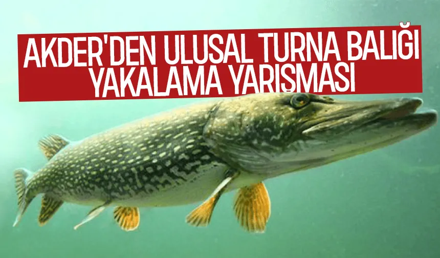 AKDER'den Sapanca Gölü'nde turna balığı yakalama yarışması