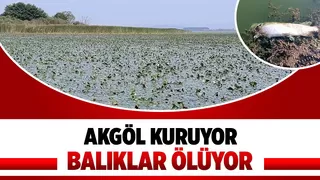 Akgöl can çekişiyor