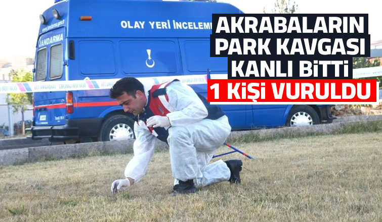 Akrabaların park kavgasında bir kişi vuruldu