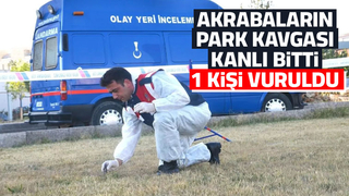 Akrabaların park kavgasında bir kişi vuruldu