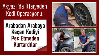 Akyazı 1 Nolu Sağlık Ocağı’nda Kedi Operasyonu: Arabadan Arabaya Kaçtı, Sonunda Doğaya Salındı!