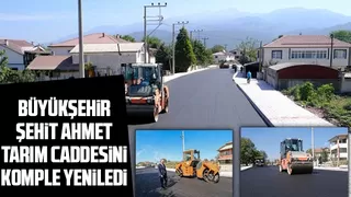 Akyazı Şehit Ahmet Tarım Caddesi’nde asfalt sevinci