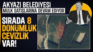 Akyazı Belediyesi 8 dönümlük cevizliği satmak için harekete geçti