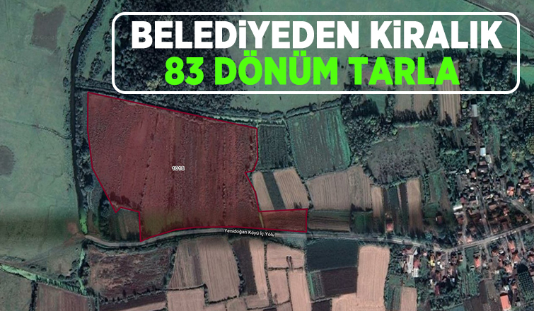 Akyazı Belediyesi 83 dönüm tarlayı 3 yıllığına kiraya veriyor