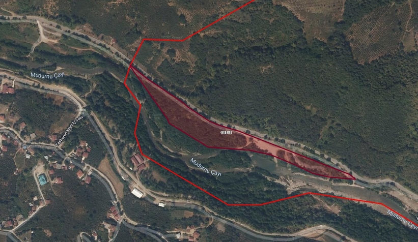 Akyazı Belediyesi kavaklık satıyor