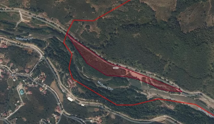 Akyazı Belediyesi kavaklık satıyor