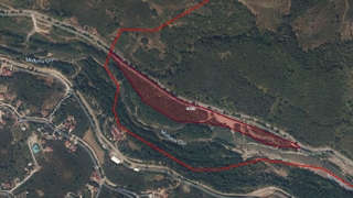 Akyazı Belediyesi kavaklık satıyor