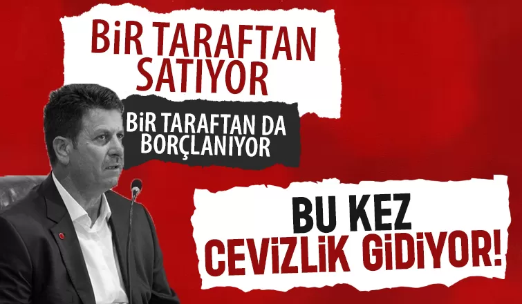 Akyazı Belediyesi'nden arsa satışlarına devam; Bu kez cevizliği satıyor