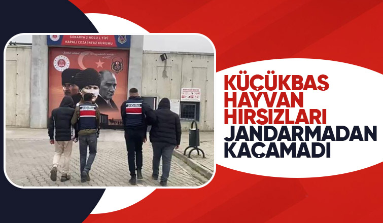 Akyazı da 14 küçükbaş hayvan çalan 2 kişi yakalandı
