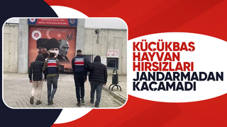 Akyazı da 14 küçükbaş hayvan çalan 2 kişi yakalandı