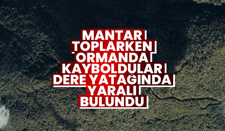 Mantar toplarken kayboldular, biri yaralı bulundu