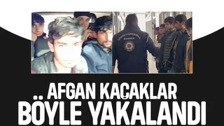 Akyazı'da 7 Afgan kaçak yakalandı